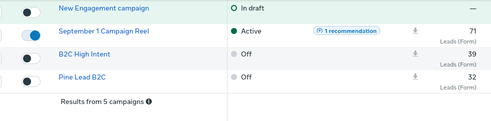 Pine and Peace Meta Ads Manager lead dashboard